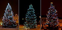 Vyberte si z našich setů světelné výzdoby pro vánoční stromy